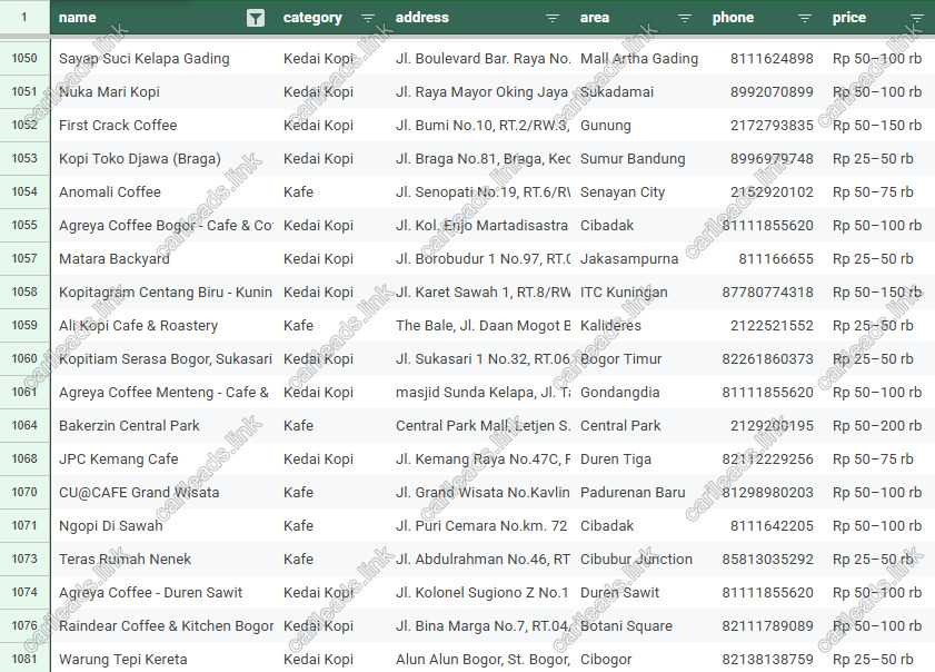 Cuplikan file Excel leads coffee shop Jabodetabek: kolom nama, kategori, alamat, area, telepon, dan harga
