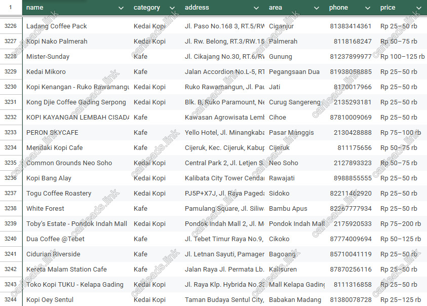 Cuplikan file Excel leads baris 3.226–3.244