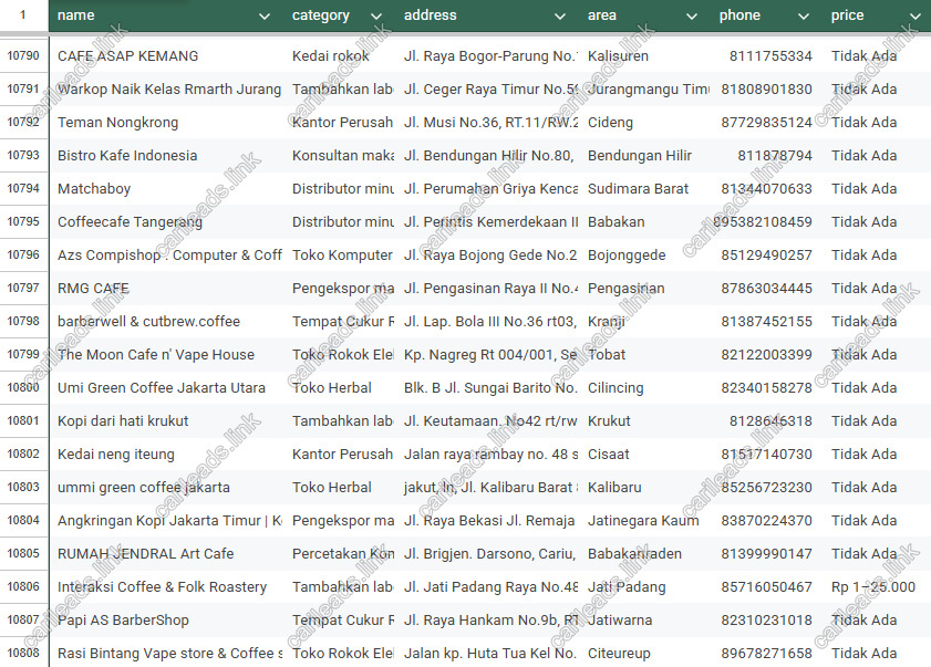 Cuplikan file Excel leads baris 10.790–10.808